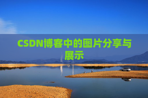 CSDN博客中的图片分享与展示